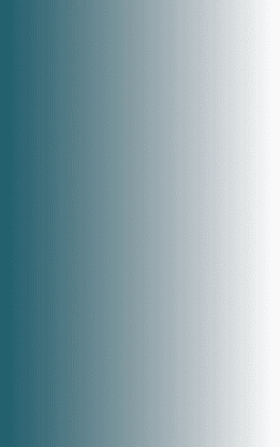 Home Girl Image rectangle over